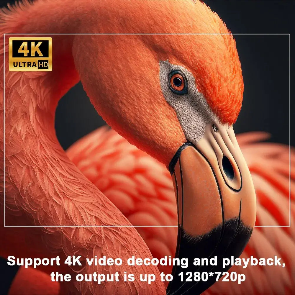 Hy300 smart projector displaying a vibrant close-up image of an orange flamingo in 4K Ultra HD resolution